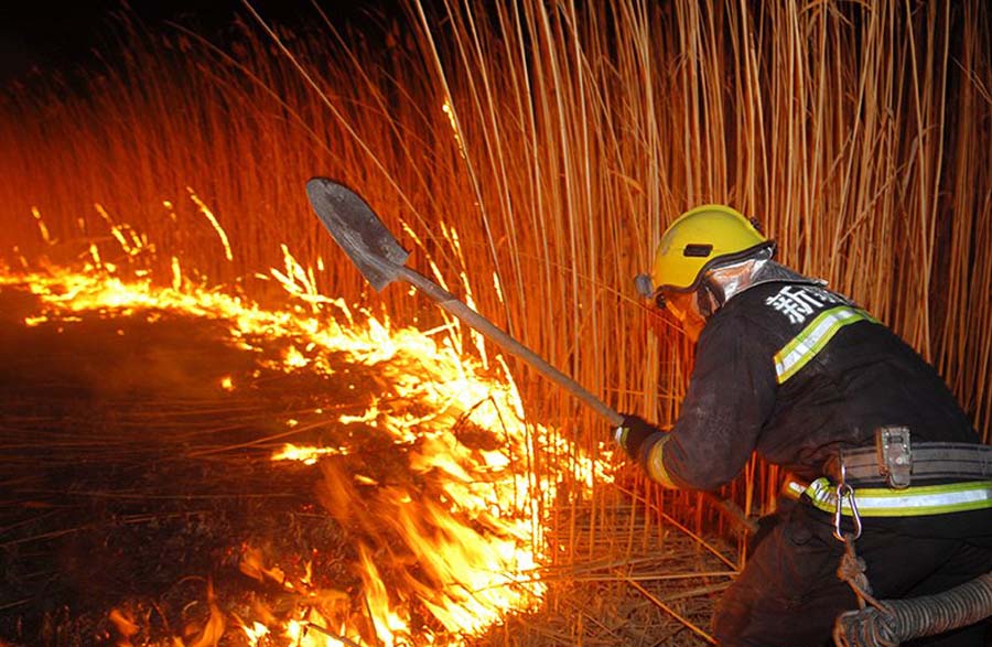 我国最大内陆淡水湖新疆博斯腾湖2万亩芦苇被火烧（图）